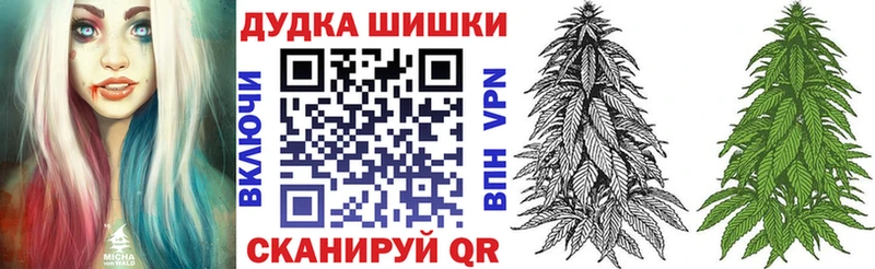Купить наркоту Новотроицк A-PVP  Меф  Канабис 