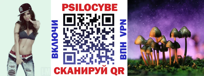 OMG ссылка  Новотроицк  Галлюциногенные грибы Psilocybine cubensis  цена наркотик 